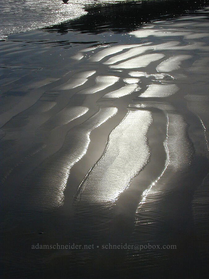 sand ripples [Venice Beach, Los Angeles, Los Angeles County, California]