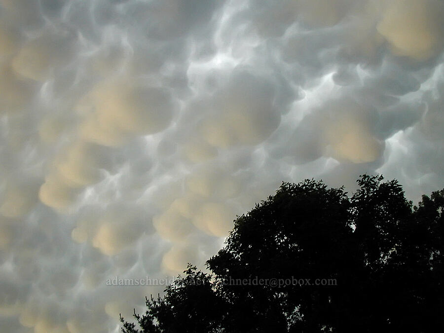 mammatus clouds [Lake L'Homme Dieu, Alexandria, Douglas County, Minnesota]