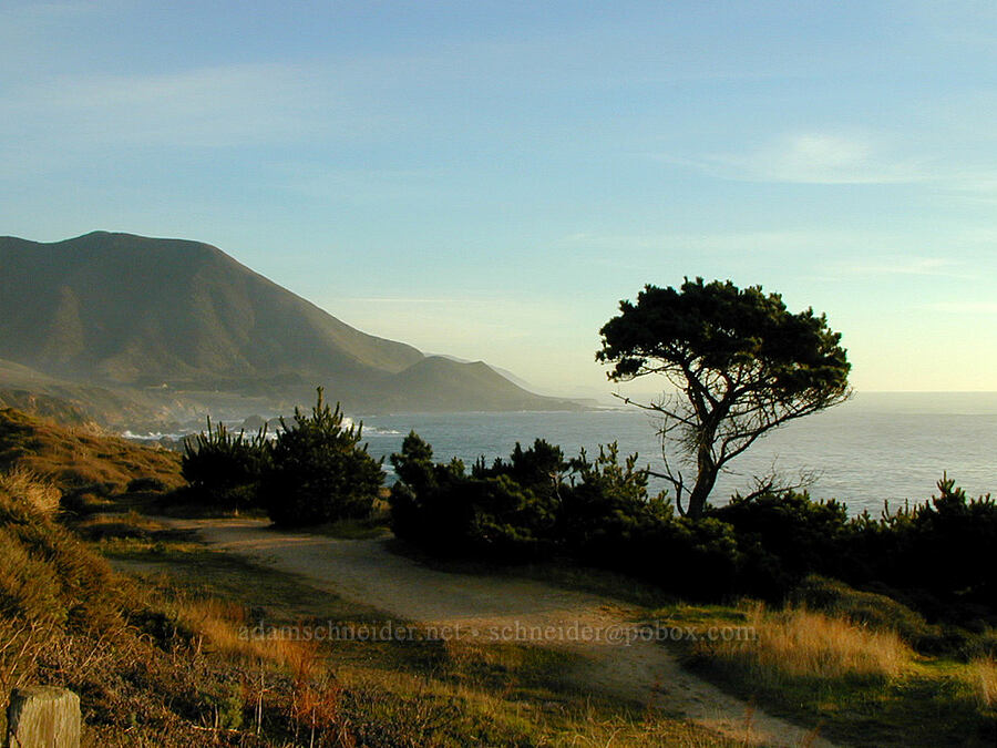 evening in Big Sur [Highway 1, Big Sur, Monterey County, California]