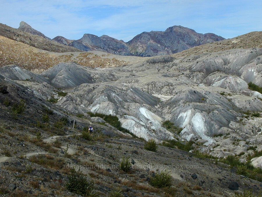 hummocks [Boundary Trail, Mt. St. Helens N.V.M.,  County, Washington]
