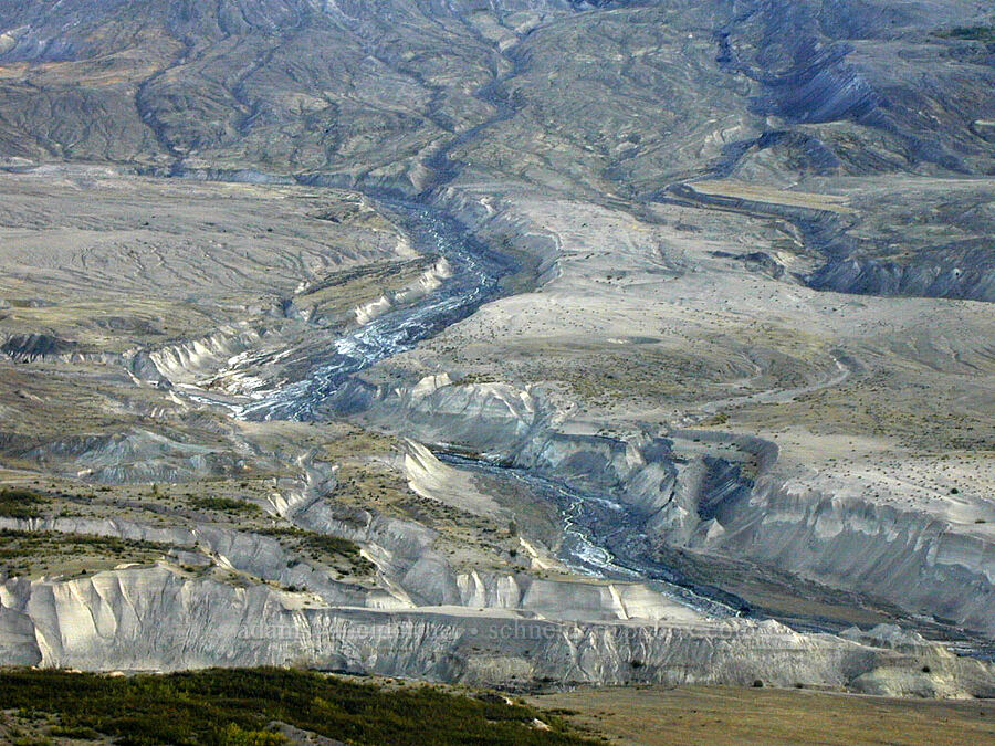 Toutle River & the pumice plain [Boundary Trail, Mt. St. Helens N.V.M.,  County, Washington]