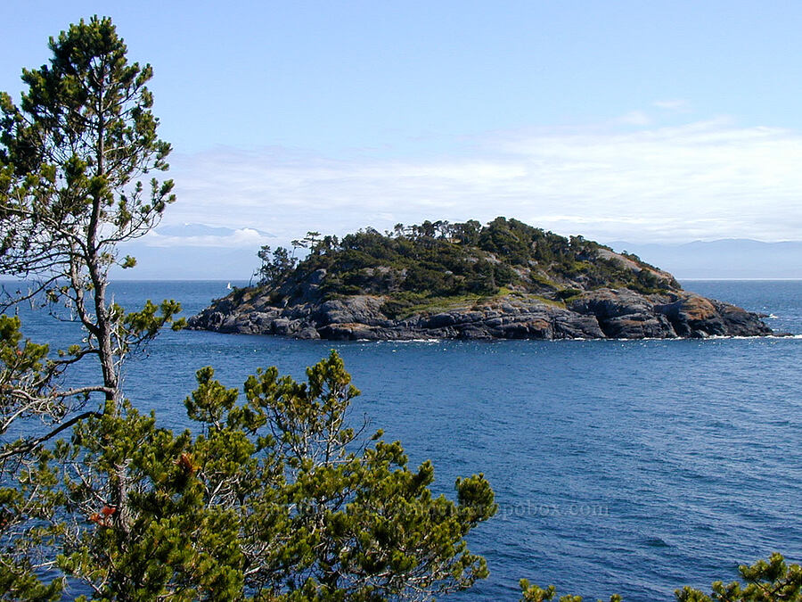 Donaldson Island [Pike Point, East Sooke Regional Park, British Columbia, Canada]
