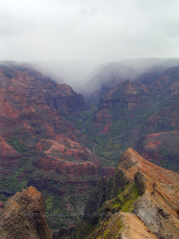 Waimea Canyon [Waimea Canyon Lookout, Waimea Canyon State Park, Kaua'i, Hawaii]