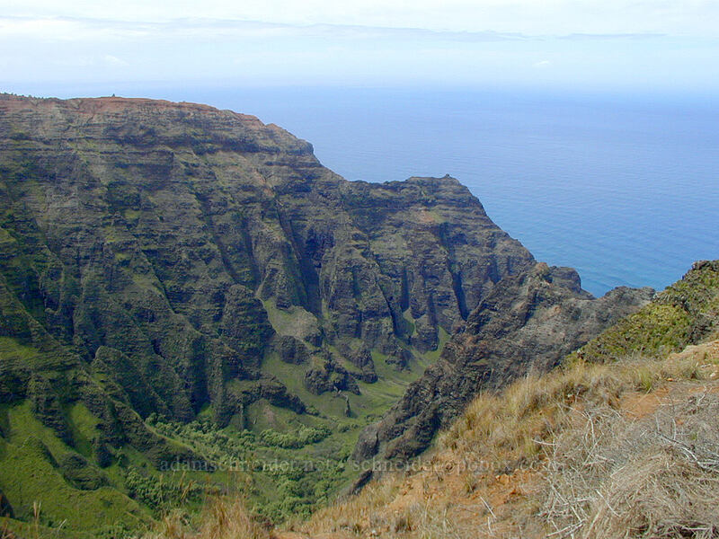 Nu'alolo Valley [Awa'awaphui Trail, Koke'e State Park, Kaua'i, Hawaii]