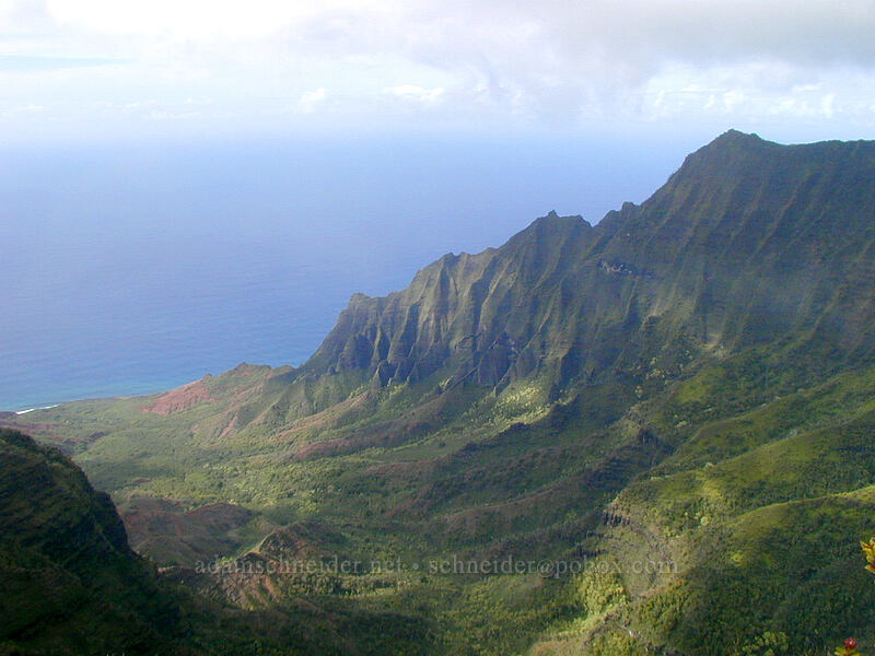 Kalalau Valley [Pu'u o Kila Lookout, Koke'e State Park, Kaua'i, Hawaii]