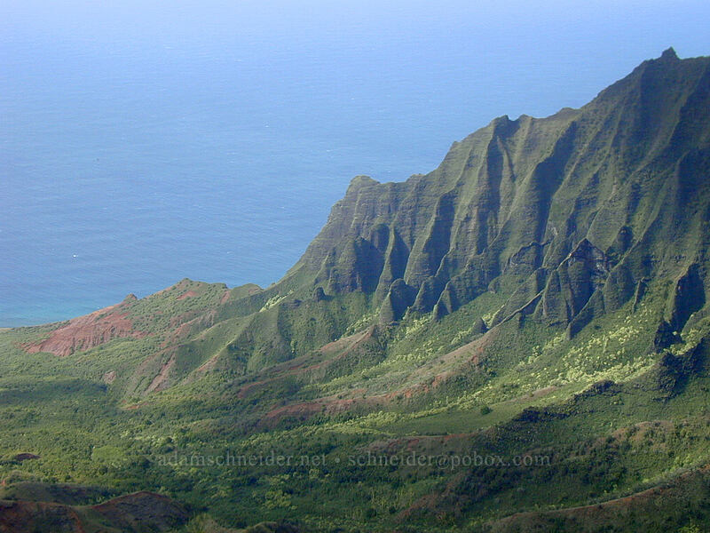 Kalalau Valley [Pu'u o Kila Lookout, Koke'e State Park, Kaua'i, Hawaii]
