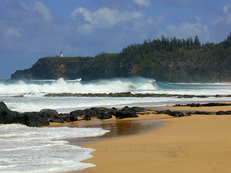 Kilauea Lighthouse, seen from Secret Beach [Kauapea Beach, Kilauea, Kaua'i, Hawaii]