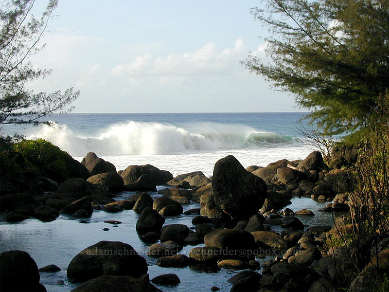 Hanakapi'ai Stream, looking makai [Hanakapi'ai Valley, Na Pali Coast State Park, Kaua'i, Hawaii]