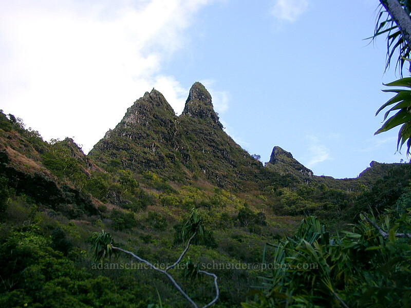 Mauna Pulu'o, above Ke'e Beach [Kalalau Trail, Na Pali Coast State Park, Kaua'i, Hawaii]