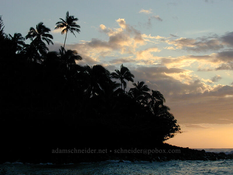 sunset with palm trees and beach [Ke'e Beach, Ha'ena State Park, Kaua'i, Hawaii]