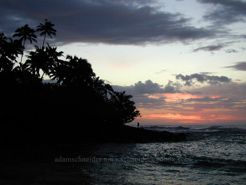 sunset with palm trees and beach [Ke'e Beach, Ha'ena State Park, Kaua'i, Hawaii]