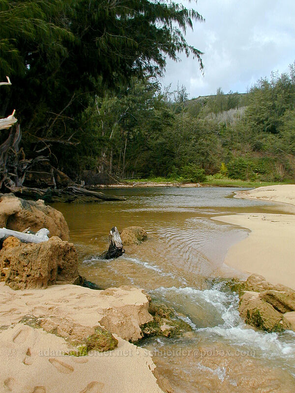 mouth of Moloa'a Stream [Moloa'a Bay, Anahola, Kaua'i, Hawaii]