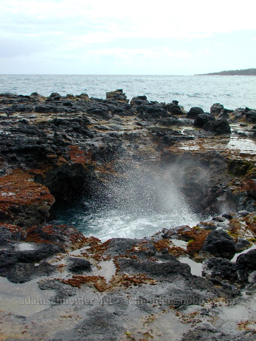 surging pool [Mokolea Point, Kilauea, Kaua'i, Hawaii]