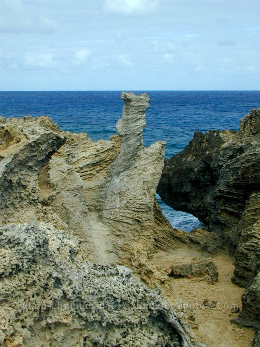lithified dunes [Maha'ulepu Beach, Maha'ulepu, Kaua'i, Hawaii]