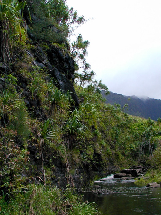 Hanakapi'ai Stream [Hanakapi'ai Beach, Na Pali Coast, Kaua'i, Hawaii]