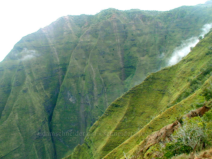 Honopu Valley [Honopu Trail, Na Pali Coast, Kaua'i, Hawaii]