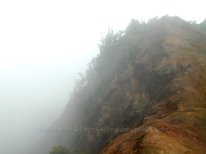 clouds filling the Honopu Valley [Honopu Trail, Na Pali Coast, Kaua'i, Hawaii]