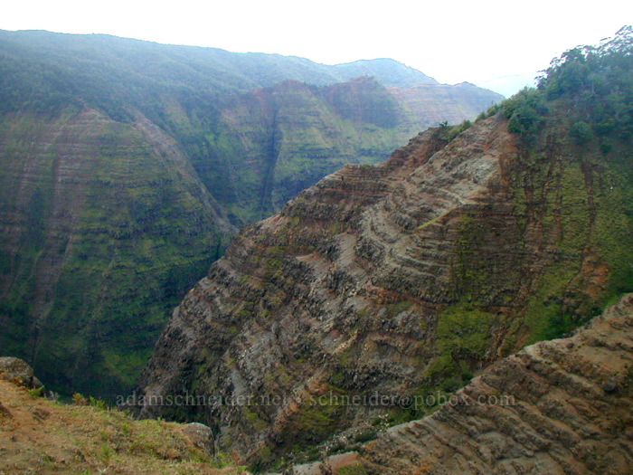 Po'omau Canyon [Po'omau Canyon Ditch Trail, Koke'e State Park, Kaua'i, Hawaii]