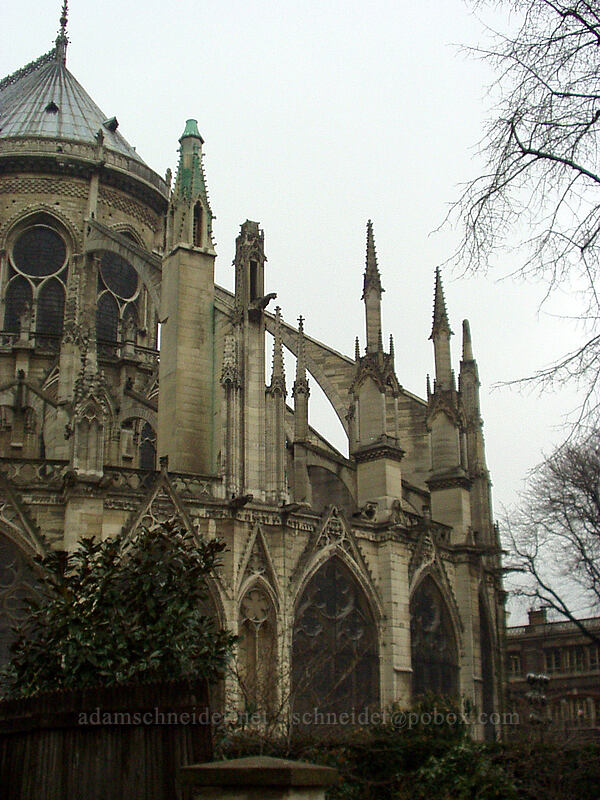 flying buttresses, Notre Dame [Île de la Cité, Paris, Île-de-France, France]
