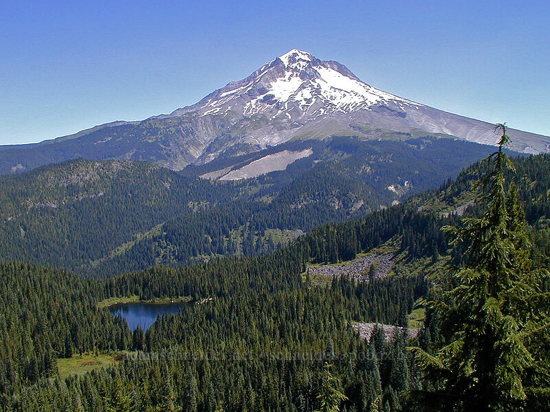 Mount Hood & Burnt Lake [East Zigzag Mountain, Mt. Hood Wilderness, Clackamas County, Oregon]