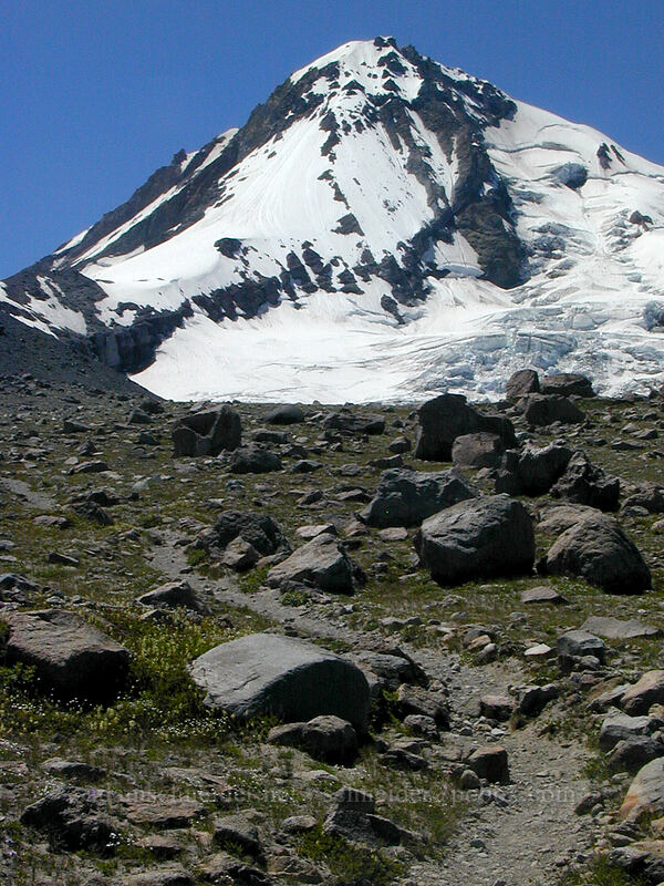 Mount Hood & Eliot Glacier [Cooper Spur Trail, Mt. Hood Wilderness, Hood River County, Oregon]