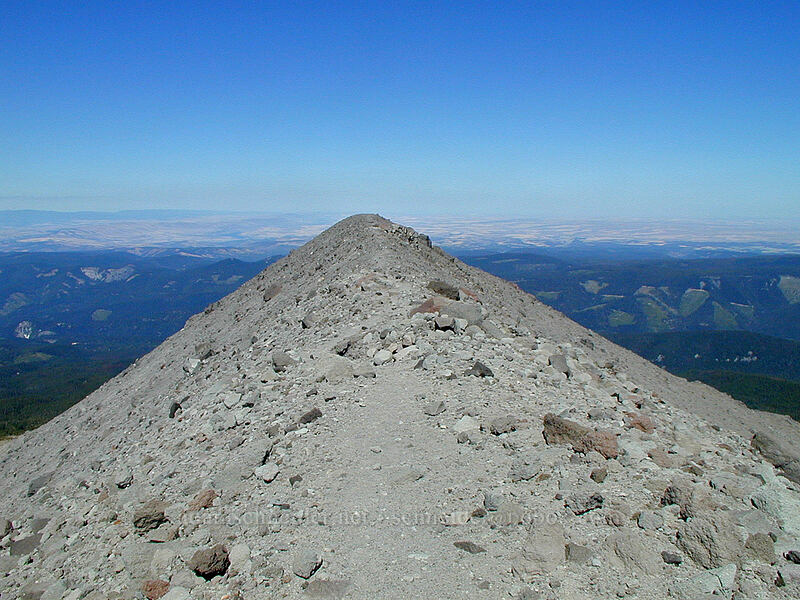 a view clear out to central Oregon [Cooper Spur Trail, Mt. Hood Wilderness, Hood River County, Oregon]