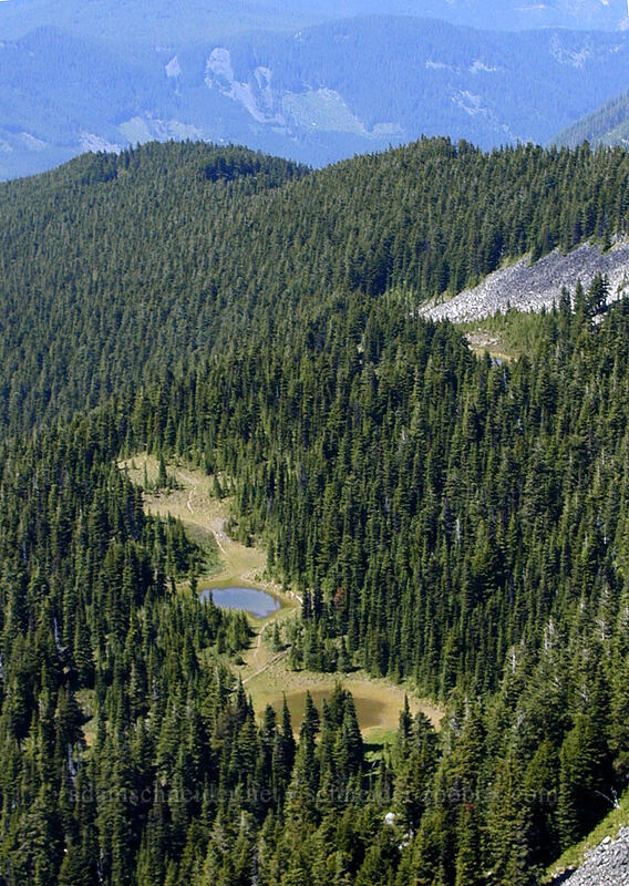 McNeil ponds [McNeil Point, Mt. Hood Wilderness, Hood River County, Oregon]