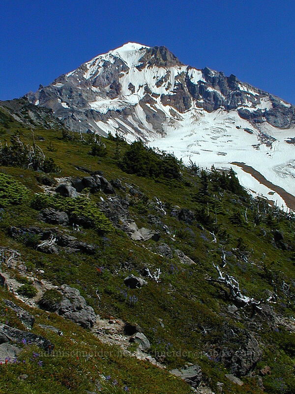 Mount Hood [McNeil Point, Mt. Hood Wilderness, Clackamas County, Oregon]