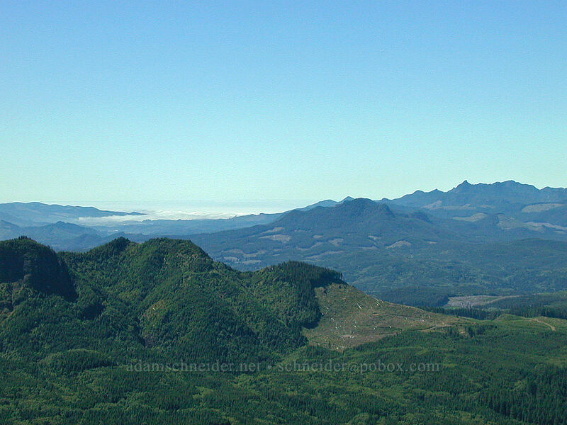 view toward Nehalem Bay [Saddle Mountain, Clatsop County, Oregon]