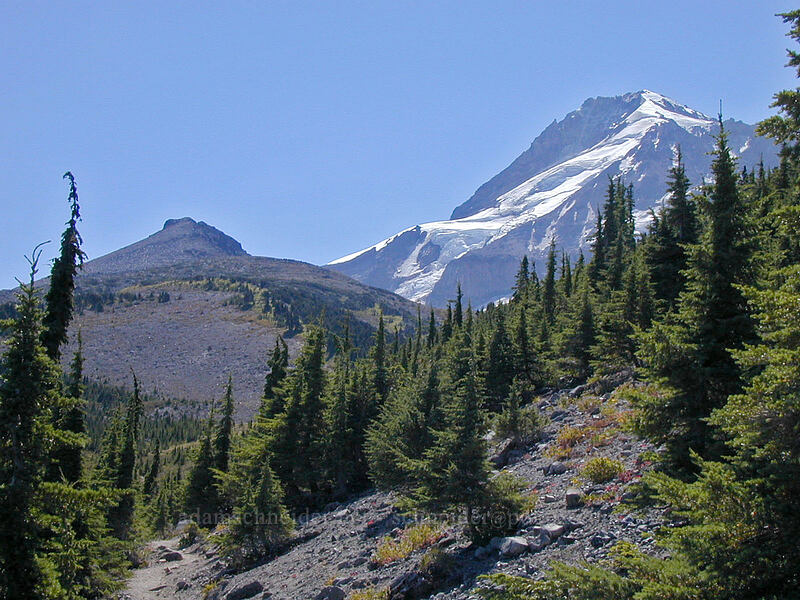 Barrett Spur & Mount Hood [Vista Ridge Trail, Mt. Hood Wilderness, Hood River County, Oregon]