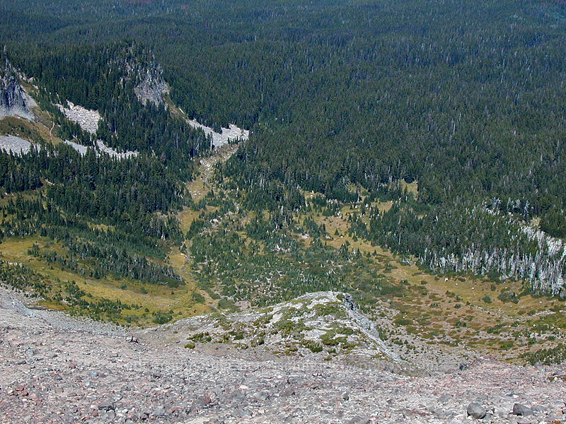 Elk Cove [Barrett Spur, Mt. Hood Wilderness, Hood River County, Oregon]
