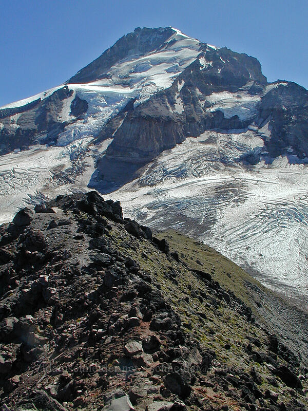 south end of Barrett Spur [Top of Barrett Spur, Mt. Hood Wilderness, Hood River County, Oregon]