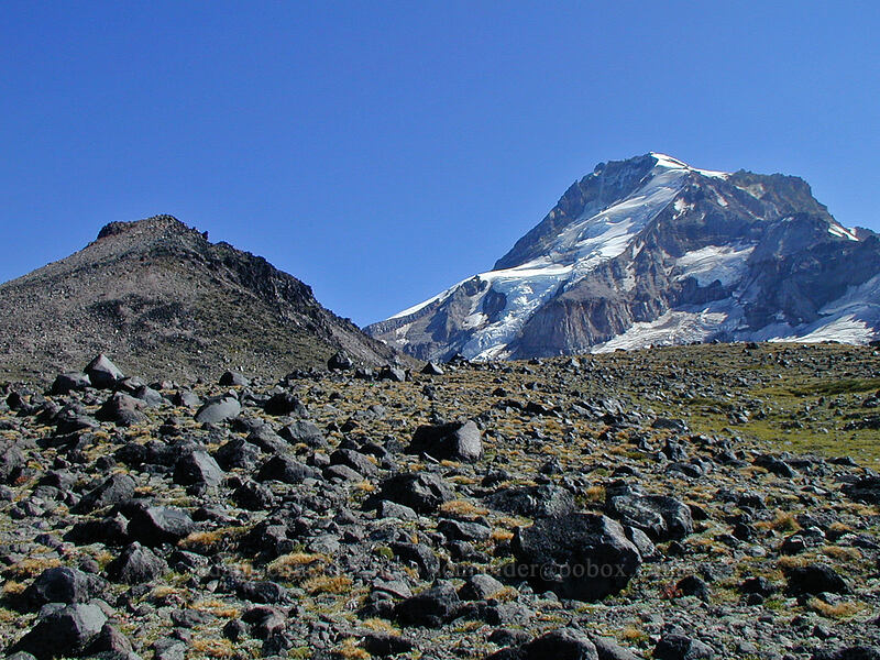 Barrett Spur & Mount Hood [Bottom of Barrett Spur, Mt. Hood Wilderness, Hood River County, Oregon]