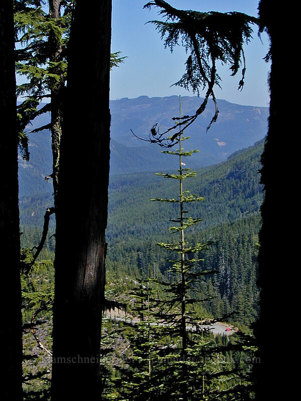 looking back at the trailhead [Mazama Trail, Mt. Hood National Forest, Hood River County, Oregon]