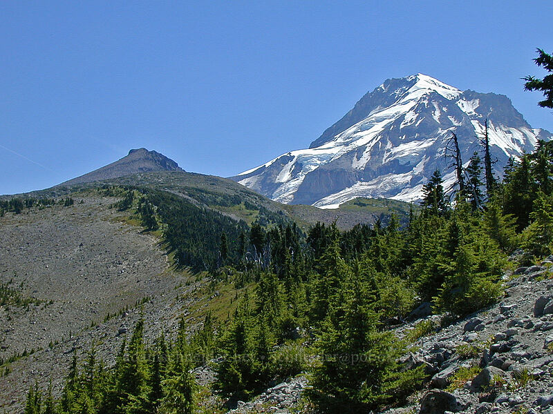 Barrett Spur & north face of Mount Hood [Vista Ridge, 5900 feet, Mt. Hood Wilderness, Hood River County, Oregon]