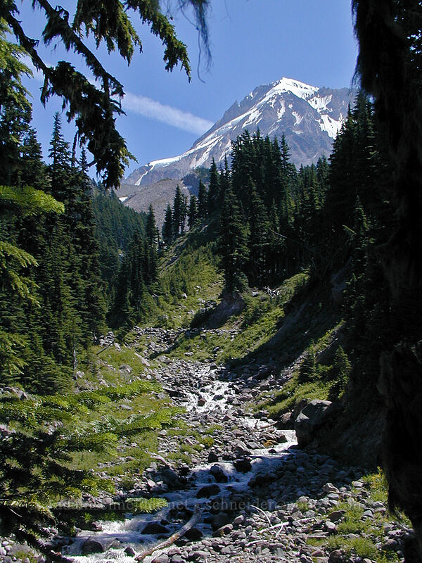 east fork of Ladd Creek [north of Eden Park, Mt. Hood Wilderness, Hood River County, Oregon]