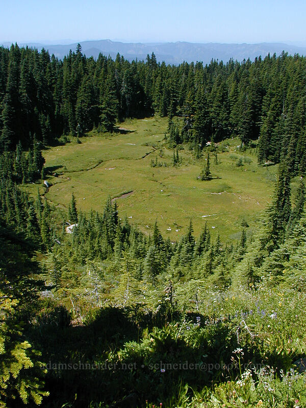 Eden Park from above [Eden Park, Mt. Hood Wilderness, Hood River County, Oregon]