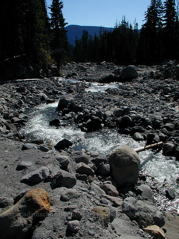 Newton Creek [Elk Meadows Trail, Mt. Hood Wilderness, Hood River County, Oregon]