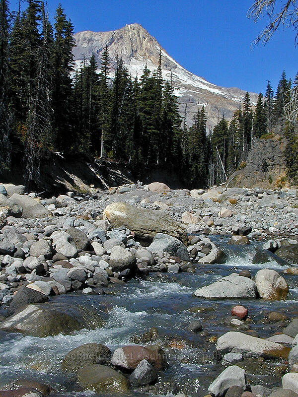 Mount Hood & Newton Creek [Elk Meadows Trail, Mt. Hood Wilderness, Hood River County, Oregon]
