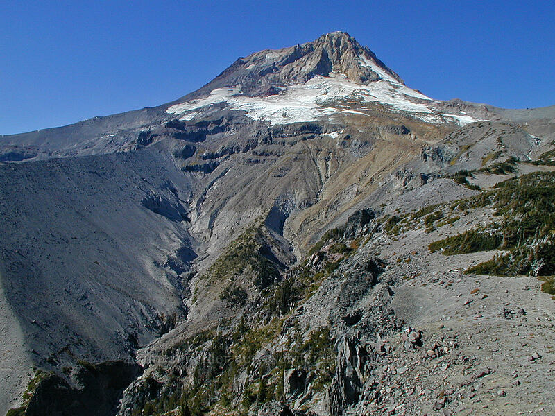 top of Newton Creek Canyon [Gnarl Ridge, Mt. Hood Wilderness, Hood River County, Oregon]