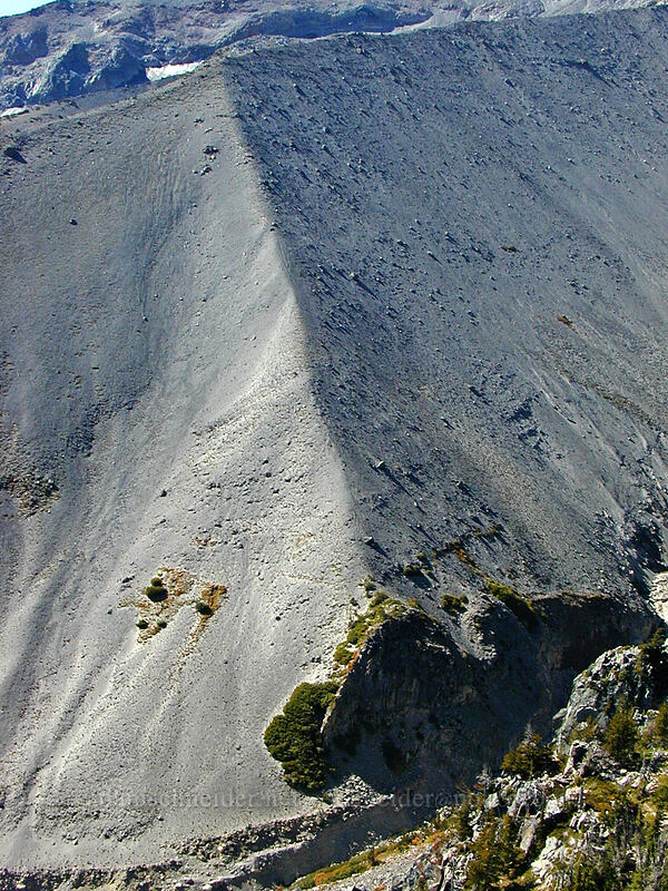 south side of Newton Creek Canyon [Gnarl Ridge, Mt. Hood Wilderness, Hood River County, Oregon]