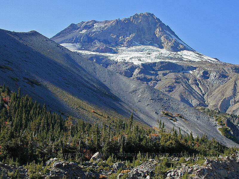 Mount Hood & Newton Creek Canyon [Timberline Trail, Mt. Hood Wilderness, Hood River County, Oregon]