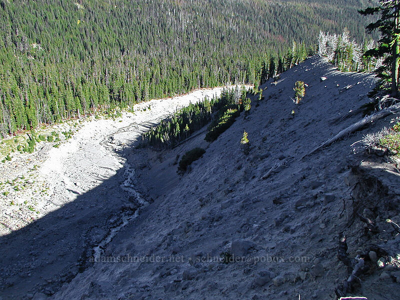 south rim of Newton Creek Canyon [Newton Creek Trail, Mt. Hood Wilderness, Hood River County, Oregon]