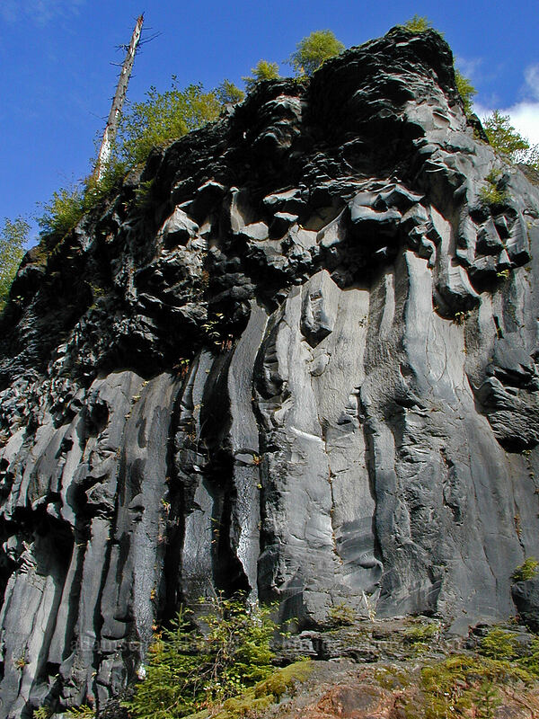 faces in the lava [Lava Canyon Trail, Mt. St. Helens N.V.M., Skamania County, Washington]
