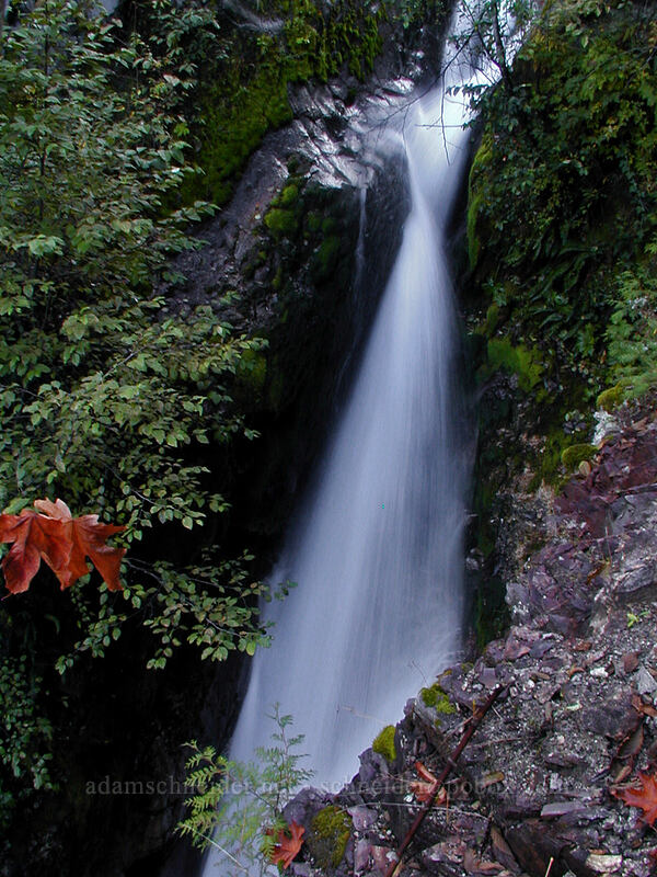 waterfall [Lava Canyon Trail, Mt. St. Helens N.V.M., Skamania County, Washington]