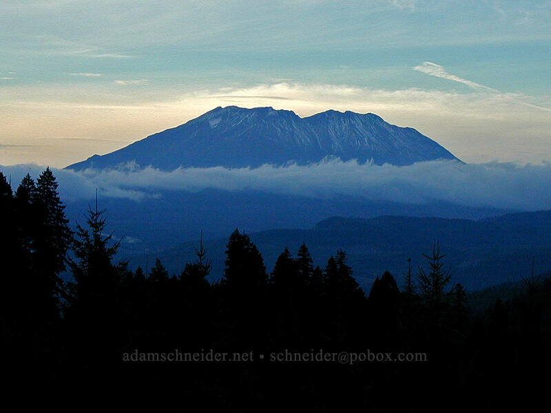 Mount St. Helens [Curly Creek Road, Skamania County, Washington]
