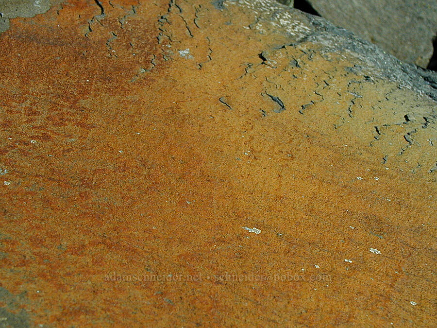 weathered rock [Ruckel Ridge Trail, Columbia River Gorge, Hood River County, Oregon]