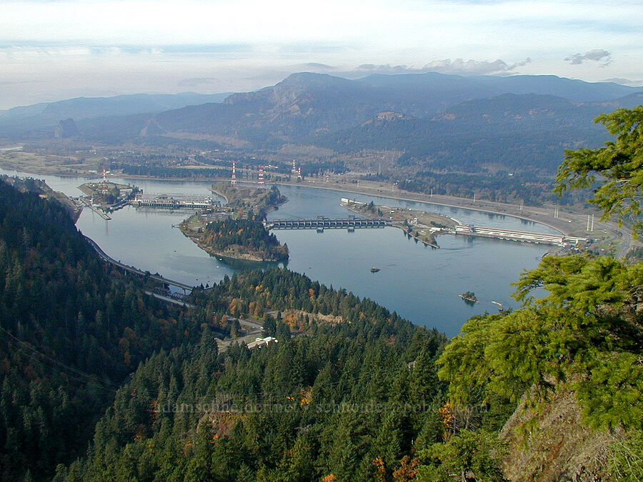 Bonneville Dam [Ruckel Ridge Trail, Columbia River Gorge, Hood River County, Oregon]