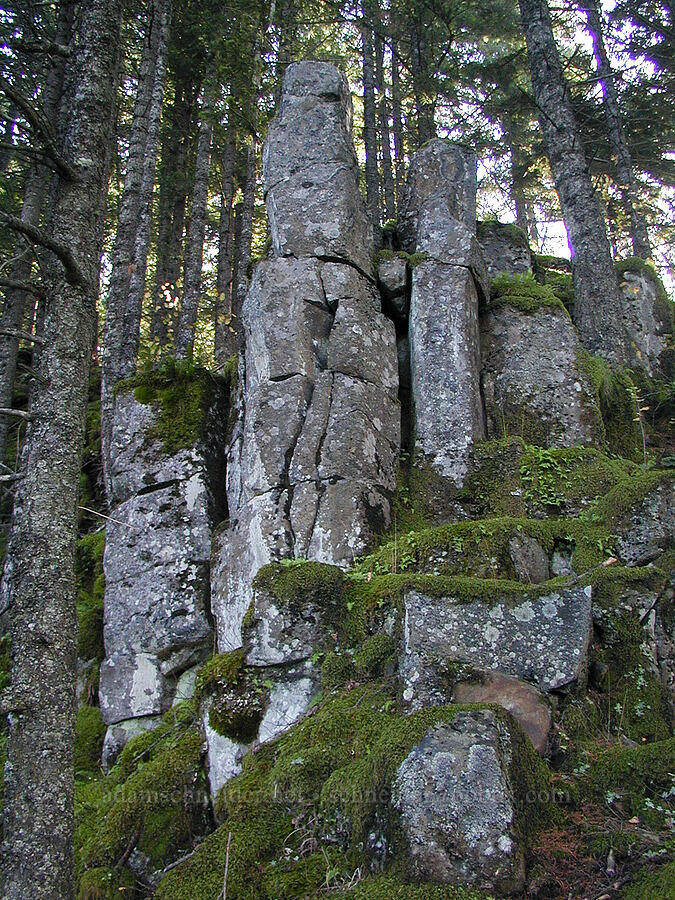 basalt pinnacles [Ruckel Ridge Trail, Columbia River Gorge, Hood River County, Oregon]
