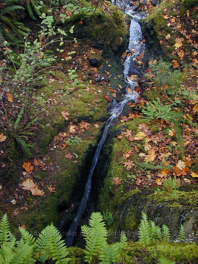 Ruckel Creek [Old Gorge Highway, Columbia River Gorge, Hood River County, Oregon]